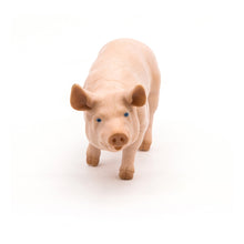 Load image into Gallery viewer, PAPO Farmyard Friends Boar Toy Figure, Three Years or Above, Pink (51044)