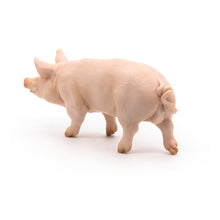 Load image into Gallery viewer, PAPO Farmyard Friends Boar Toy Figure, Three Years or Above, Pink (51044)