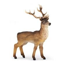 Load image into Gallery viewer, PAPO Wild Animal Kingdom Stag Toy Figure, Three Years or Above, Tan/Brown (53008)