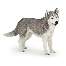 Load image into Gallery viewer, PAPO Dog and Cat Companions Siberian Husky Toy Figure (54035)