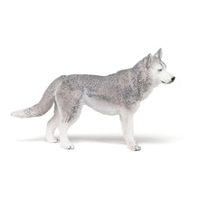 Load image into Gallery viewer, PAPO Dog and Cat Companions Siberian Husky Toy Figure (54035)
