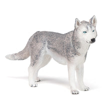 Load image into Gallery viewer, PAPO Dog and Cat Companions Siberian Husky Toy Figure (54035)
