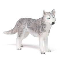 Load image into Gallery viewer, PAPO Dog and Cat Companions Siberian Husky Toy Figure (54035)