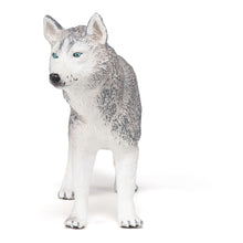 Load image into Gallery viewer, PAPO Dog and Cat Companions Siberian Husky Toy Figure (54035)