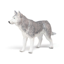 Load image into Gallery viewer, PAPO Dog and Cat Companions Siberian Husky Toy Figure (54035)