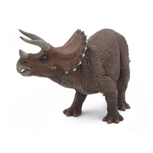 Load image into Gallery viewer, PAPO Dinosaurs Triceratops Toy Figure, Three Years or Above, Multi-colour (55002)