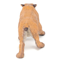 Load image into Gallery viewer, PAPO Dinosaurs Smilodon Toy Figure, Three Years or Above, Tan (55022)