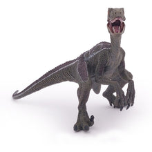 Load image into Gallery viewer, PAPO Dinosaurs Velociraptor Toy Figure, Three Years or Above, Multi-colour (55023)
