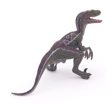 Load image into Gallery viewer, PAPO Dinosaurs Velociraptor Toy Figure, Three Years or Above, Multi-colour (55023)
