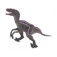 Load image into Gallery viewer, PAPO Dinosaurs Velociraptor Toy Figure, Three Years or Above, Multi-colour (55023)