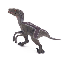Load image into Gallery viewer, PAPO Dinosaurs Velociraptor Toy Figure, Three Years or Above, Multi-colour (55023)