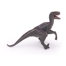 Load image into Gallery viewer, PAPO Dinosaurs Velociraptor Toy Figure, Three Years or Above, Multi-colour (55023)