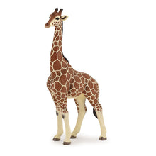 Load image into Gallery viewer, PAPO Wild Animal Kingdom Giraffe Male Toy Figure, Three Years or Above, Multi-colour (50149)