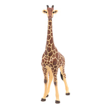 Load image into Gallery viewer, PAPO Wild Animal Kingdom Giraffe Male Toy Figure, Three Years or Above, Multi-colour (50149)