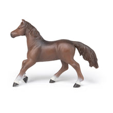 Load image into Gallery viewer, PAPO Horse and Ponies Anglo-Arab Mare Toy Figure, Three Years or Above, Brown (51075)