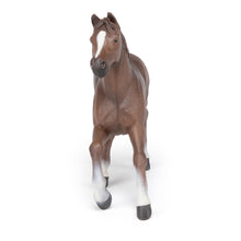 Load image into Gallery viewer, PAPO Horse and Ponies Anglo-Arab Mare Toy Figure, Three Years or Above, Brown (51075)
