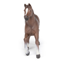 Load image into Gallery viewer, PAPO Horse and Ponies Anglo-Arab Mare Toy Figure, Three Years or Above, Brown (51075)