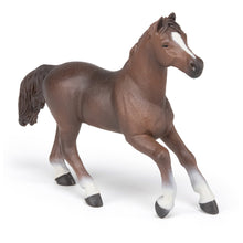 Load image into Gallery viewer, PAPO Horse and Ponies Anglo-Arab Mare Toy Figure, Three Years or Above, Brown (51075)