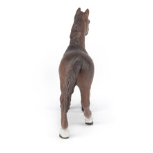 Load image into Gallery viewer, PAPO Horse and Ponies Anglo-Arab Mare Toy Figure, Three Years or Above, Brown (51075)