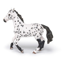 Load image into Gallery viewer, PAPO Horse and Ponies Black Appaloosa Horse Toy Figure, Three Years or Above, White/Black (51539)