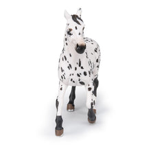 Load image into Gallery viewer, PAPO Horse and Ponies Black Appaloosa Horse Toy Figure, Three Years or Above, White/Black (51539)