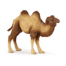 Load image into Gallery viewer, PAPO Wild Animal Kingdom Bactrian Camel Toy Figure, Three Years or Above, Brown (50129)