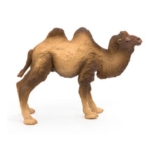 Load image into Gallery viewer, PAPO Wild Animal Kingdom Bactrian Camel Toy Figure, Three Years or Above, Brown (50129)