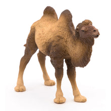 Load image into Gallery viewer, PAPO Wild Animal Kingdom Bactrian Camel Toy Figure, Three Years or Above, Brown (50129)