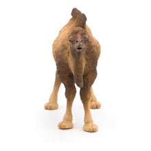 Load image into Gallery viewer, PAPO Wild Animal Kingdom Bactrian Camel Toy Figure, Three Years or Above, Brown (50129)