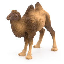 Load image into Gallery viewer, PAPO Wild Animal Kingdom Bactrian Camel Toy Figure, Three Years or Above, Brown (50129)