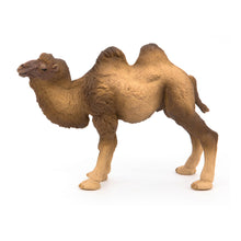 Load image into Gallery viewer, PAPO Wild Animal Kingdom Bactrian Camel Toy Figure, Three Years or Above, Brown (50129)