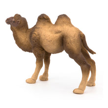 Load image into Gallery viewer, PAPO Wild Animal Kingdom Bactrian Camel Toy Figure, Three Years or Above, Brown (50129)