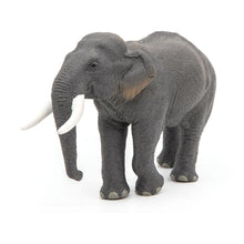Load image into Gallery viewer, PAPO Wild Animal Kingdom Asian Elephant Toy Figure, Three Years or Above, Grey (50131)