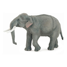Load image into Gallery viewer, PAPO Wild Animal Kingdom Asian Elephant Toy Figure, Three Years or Above, Grey (50131)
