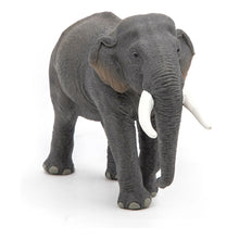 Load image into Gallery viewer, PAPO Wild Animal Kingdom Asian Elephant Toy Figure, Three Years or Above, Grey (50131)