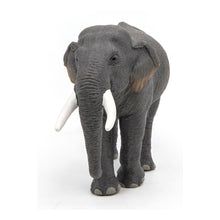 Load image into Gallery viewer, PAPO Wild Animal Kingdom Asian Elephant Toy Figure, Three Years or Above, Grey (50131)