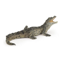 Load image into Gallery viewer, PAPO Wild Animal Kingdom Baby Crocodile Toy Figure, Three Years or Above, Multi-colour (50137)