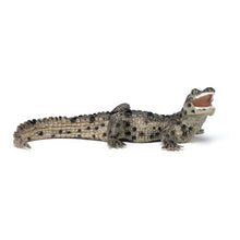 Load image into Gallery viewer, PAPO Wild Animal Kingdom Baby Crocodile Toy Figure, Three Years or Above, Multi-colour (50137)