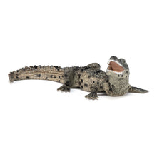 Load image into Gallery viewer, PAPO Wild Animal Kingdom Baby Crocodile Toy Figure, Three Years or Above, Multi-colour (50137)