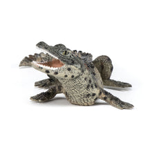 Load image into Gallery viewer, PAPO Wild Animal Kingdom Baby Crocodile Toy Figure, Three Years or Above, Multi-colour (50137)