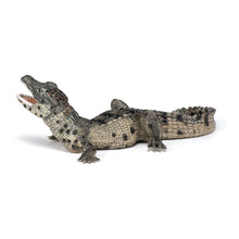 Load image into Gallery viewer, PAPO Wild Animal Kingdom Baby Crocodile Toy Figure, Three Years or Above, Multi-colour (50137)