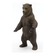 Load image into Gallery viewer, PAPO Wild Animal Kingdom Grizzly Bear Toy Figure, Three Years or Above, Brown (50153)