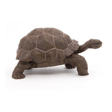Load image into Gallery viewer, PAPO Wild Animal Kingdom Galapagos Tortoise Toy Figure, Three Years or Above, Green (50161)