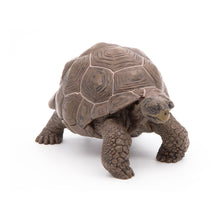 Load image into Gallery viewer, PAPO Wild Animal Kingdom Galapagos Tortoise Toy Figure, Three Years or Above, Green (50161)