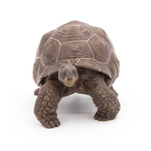 Load image into Gallery viewer, PAPO Wild Animal Kingdom Galapagos Tortoise Toy Figure, Three Years or Above, Green (50161)