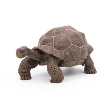 Load image into Gallery viewer, PAPO Wild Animal Kingdom Galapagos Tortoise Toy Figure, Three Years or Above, Green (50161)
