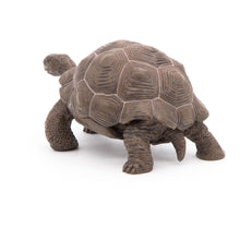 Load image into Gallery viewer, PAPO Wild Animal Kingdom Galapagos Tortoise Toy Figure, Three Years or Above, Green (50161)