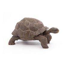 Load image into Gallery viewer, PAPO Wild Animal Kingdom Galapagos Tortoise Toy Figure, Three Years or Above, Green (50161)