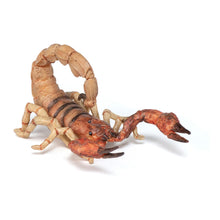 Load image into Gallery viewer, PAPO Wild Animal Kingdom Scorpion Toy Figure, Three Years or Above, Multi-colour (50209)