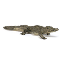 Load image into Gallery viewer, PAPO Wild Animal Kingdom Alligator Toy Figure, Three Years or Above, Multi-colour (50254)